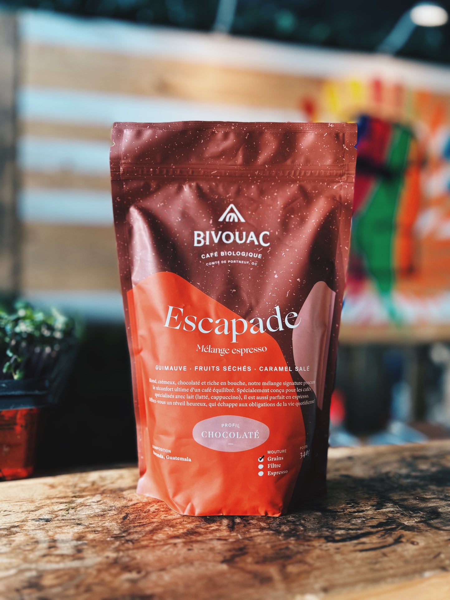 Café Bivouac