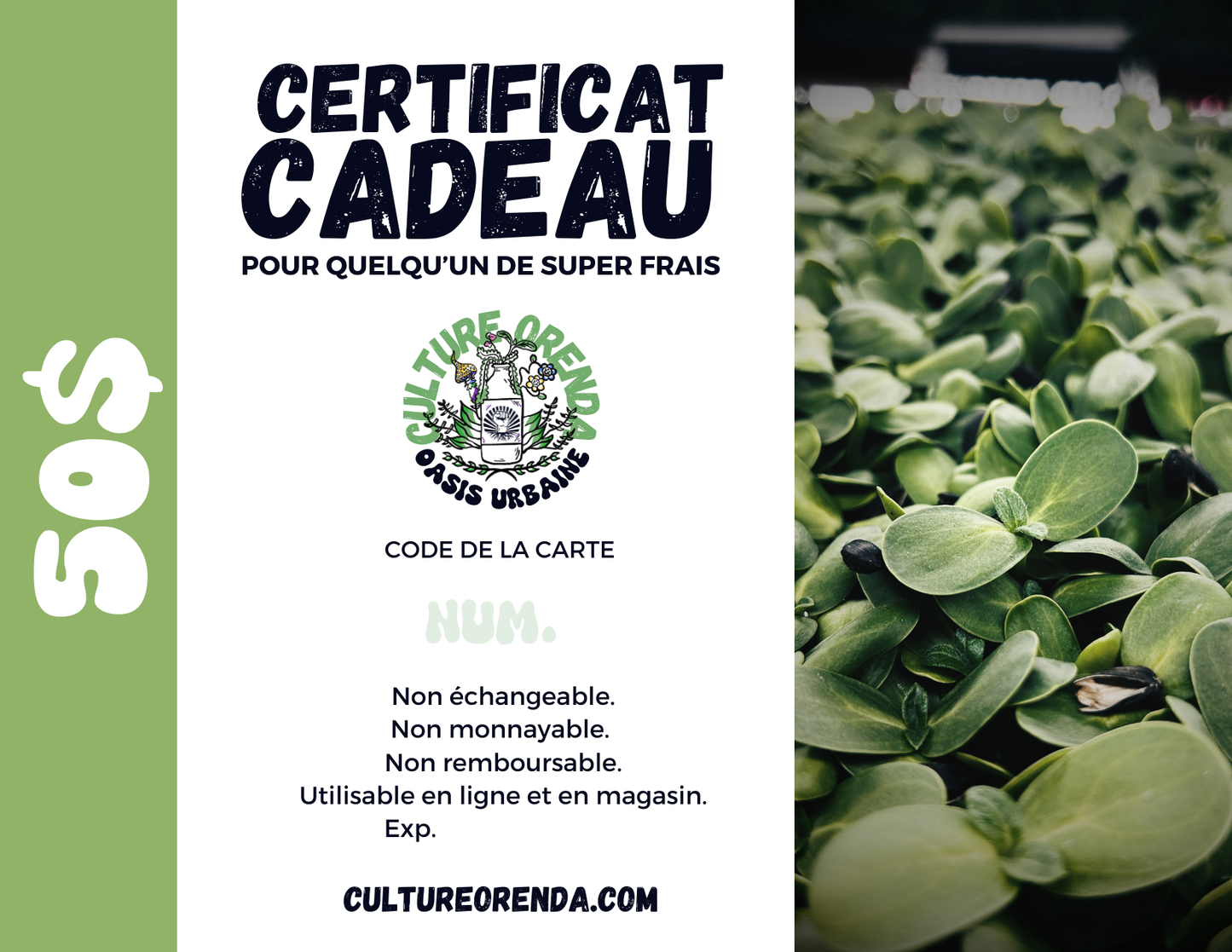 Carte-Cadeau Culture Orenda