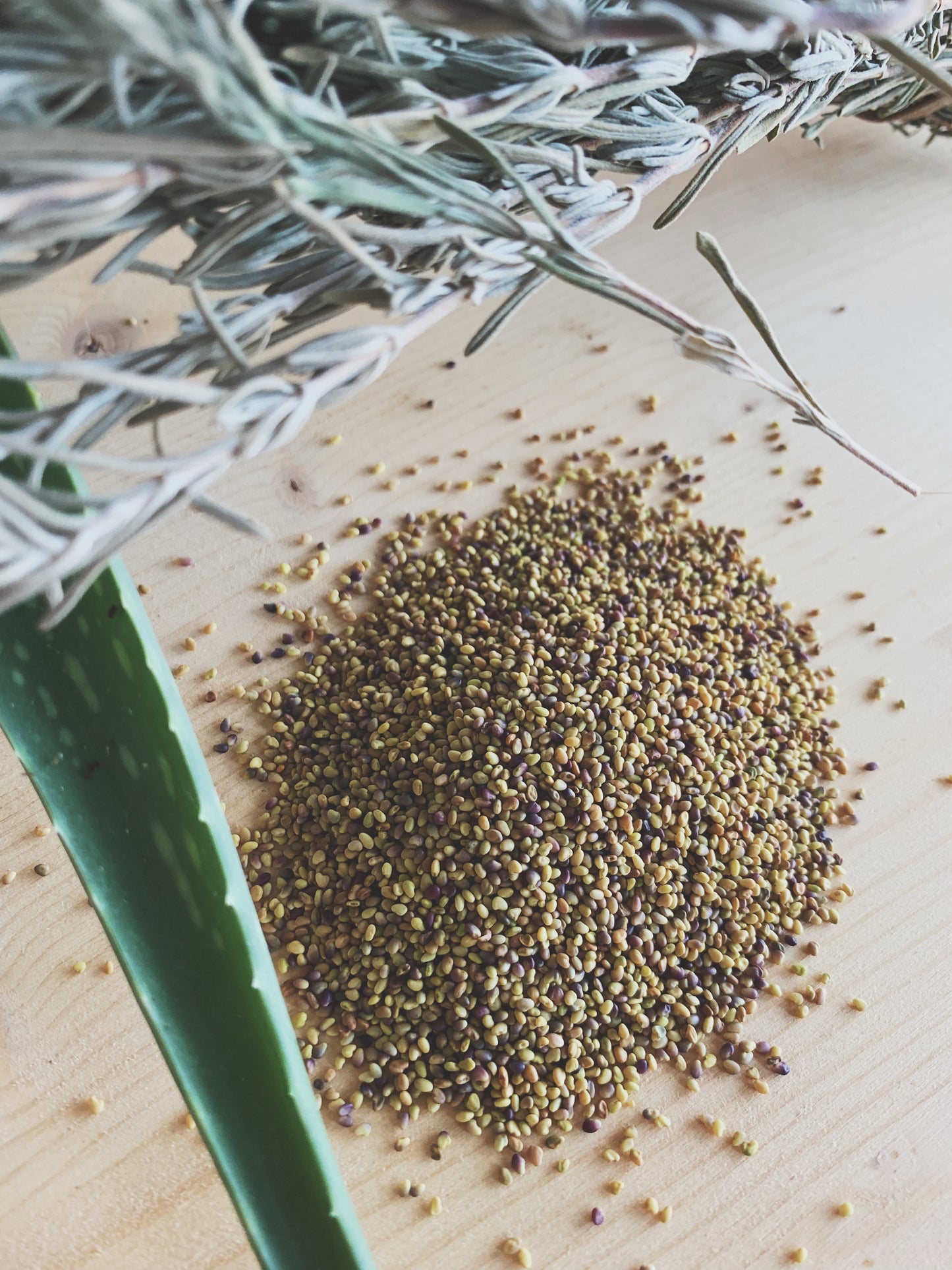 Semences micropousses & germinations