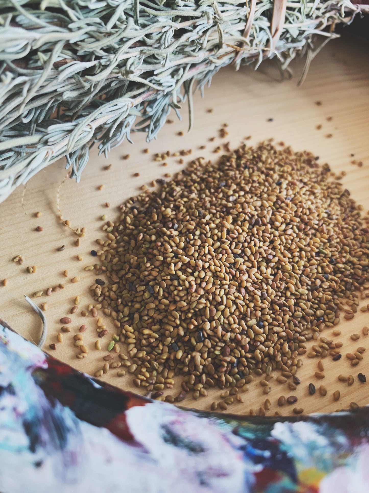 Semences micropousses & germinations