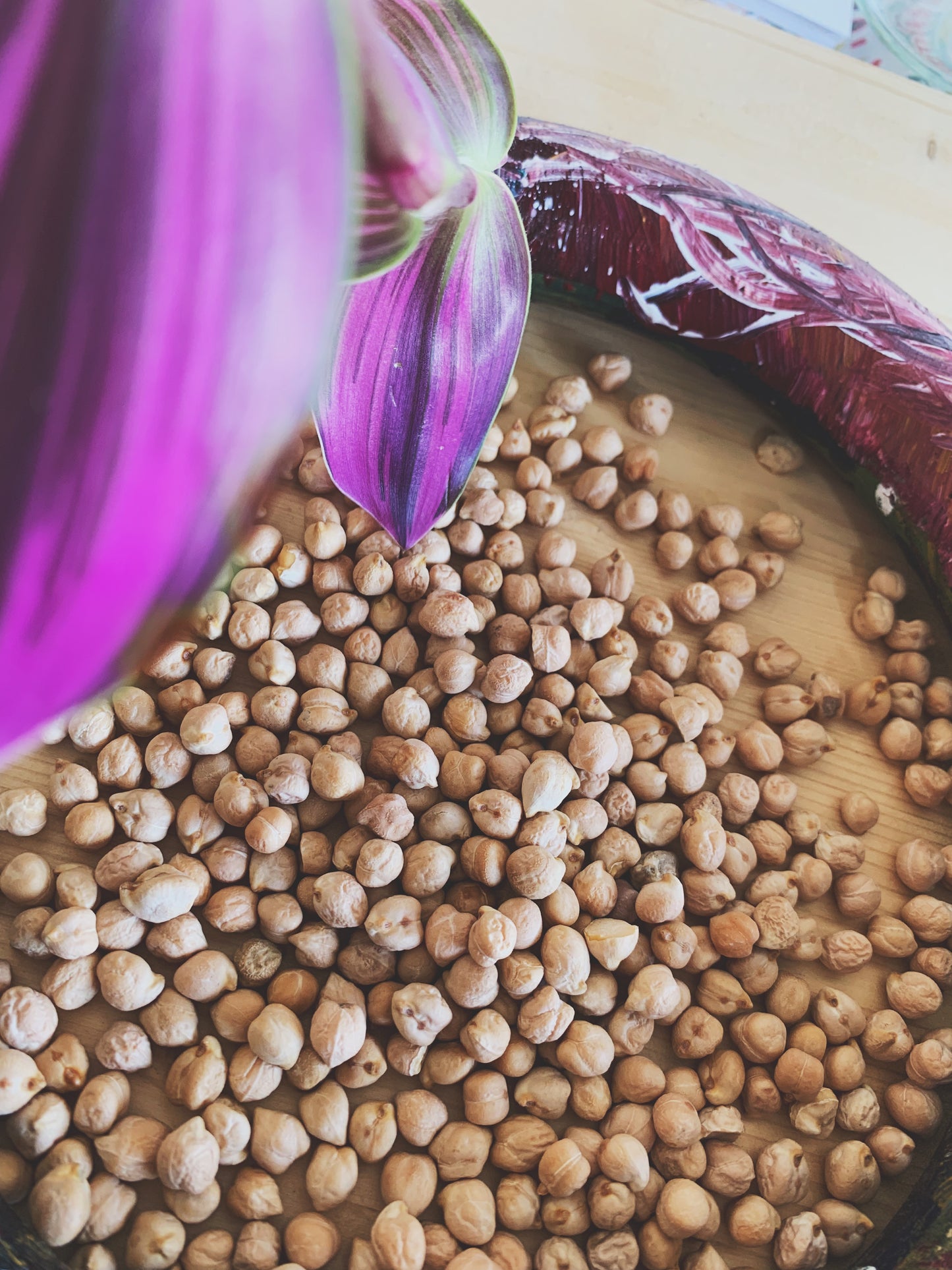 Semences micropousses & germinations