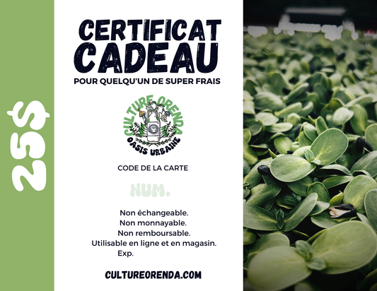 Carte-Cadeau Culture Orenda