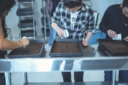 ATELIER - Culture écologique de micropousses et germinations