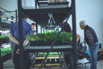 ATELIER - Culture écologique de micropousses et germinations